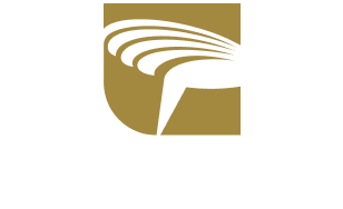 Golden Pin Design Award